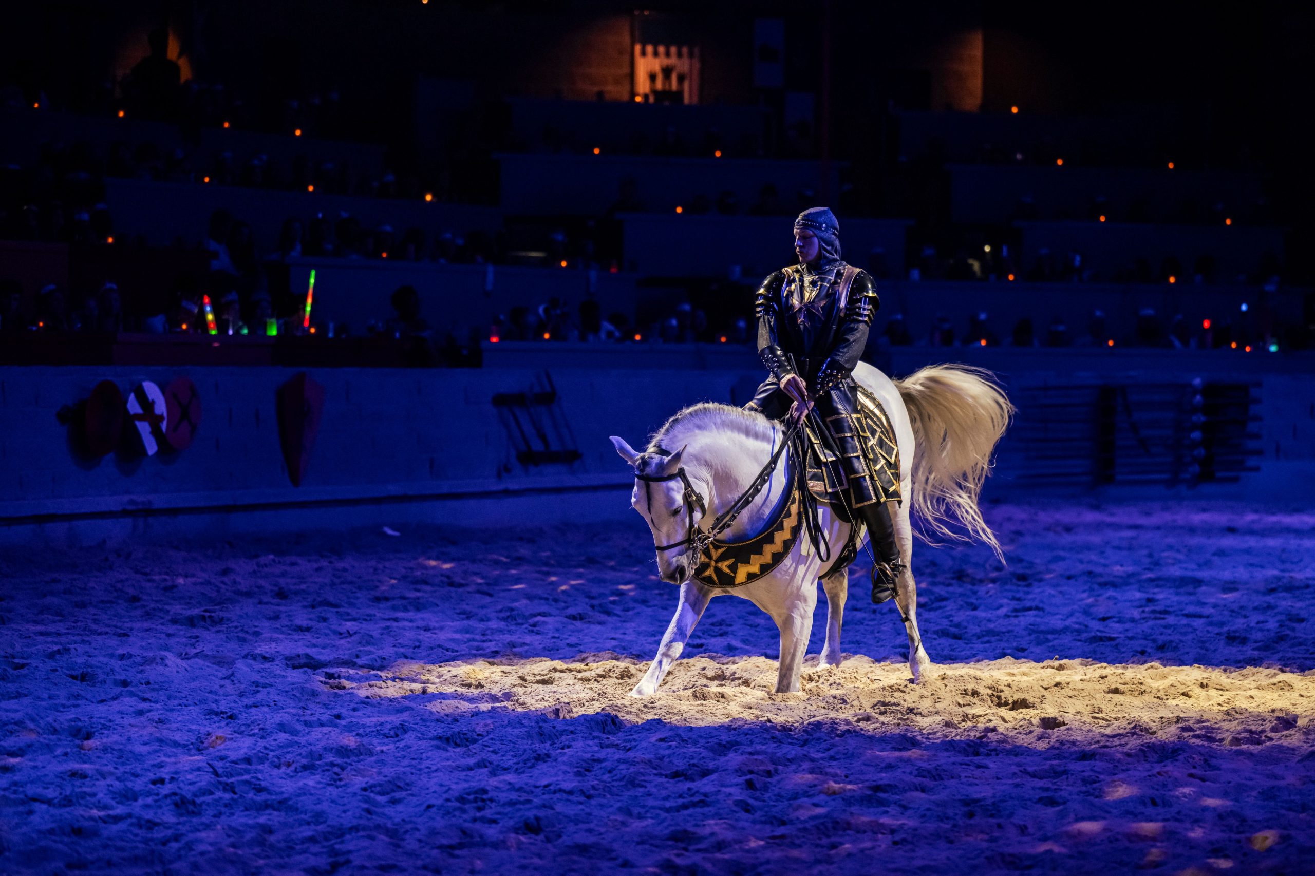 Medieval Times Andalusian dressage with horse bowing