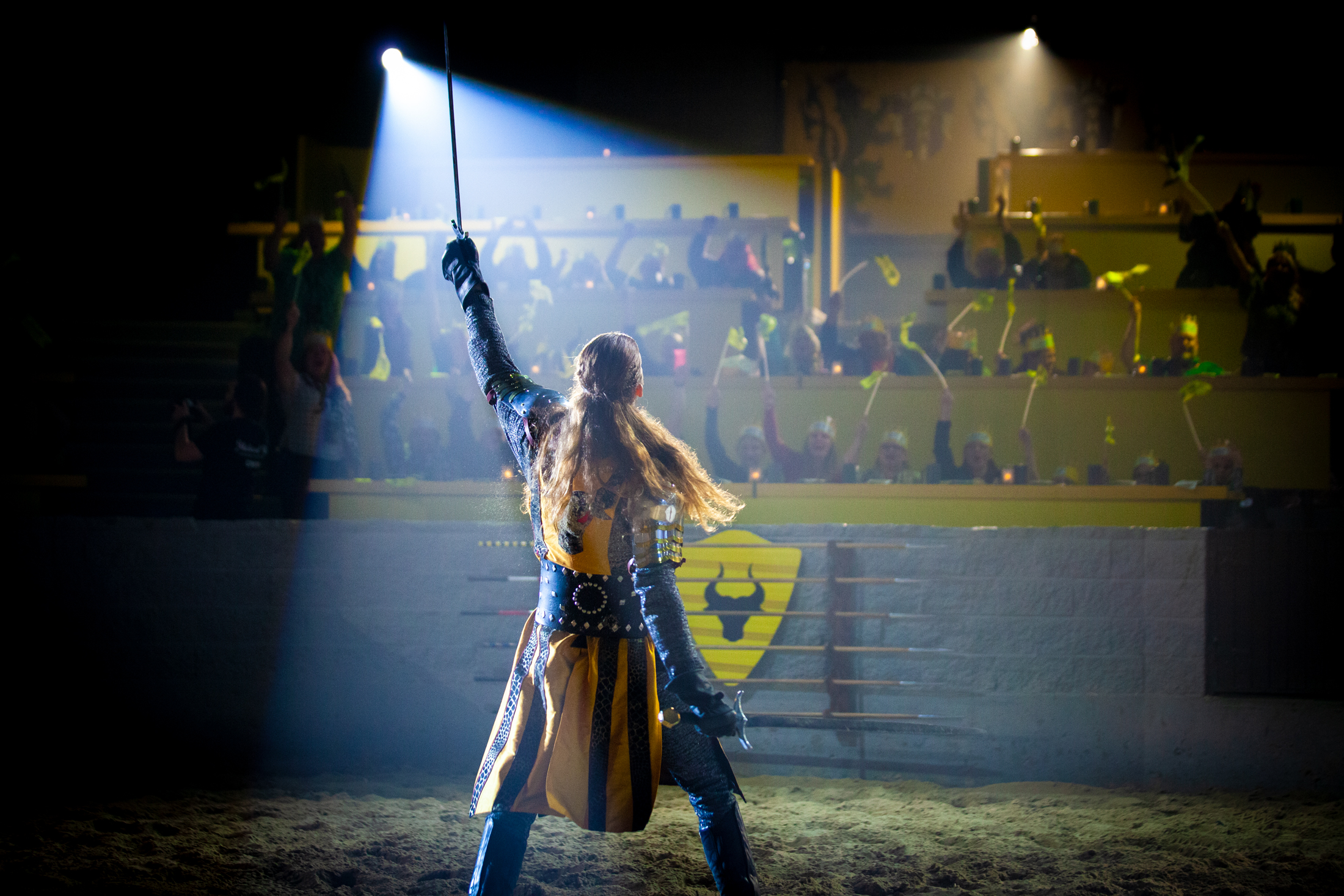 Save 15 Now! (SC) Coupon Code 15MT Medieval Times Dinner & Tournament