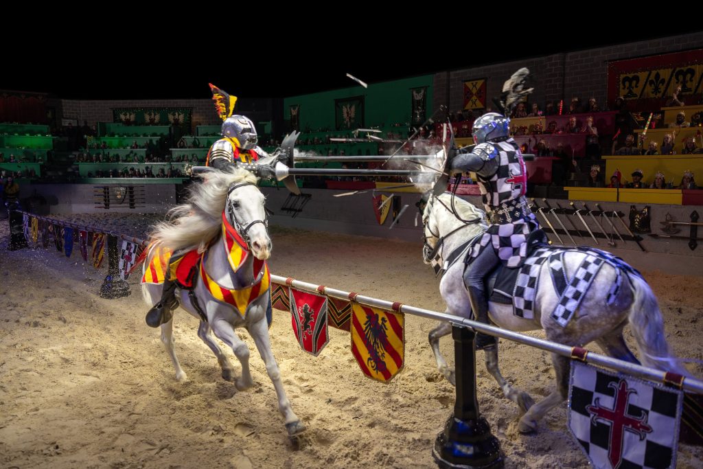 Save 15% Now! (SC) | Coupon Code 15MT | Medieval Times Dinner