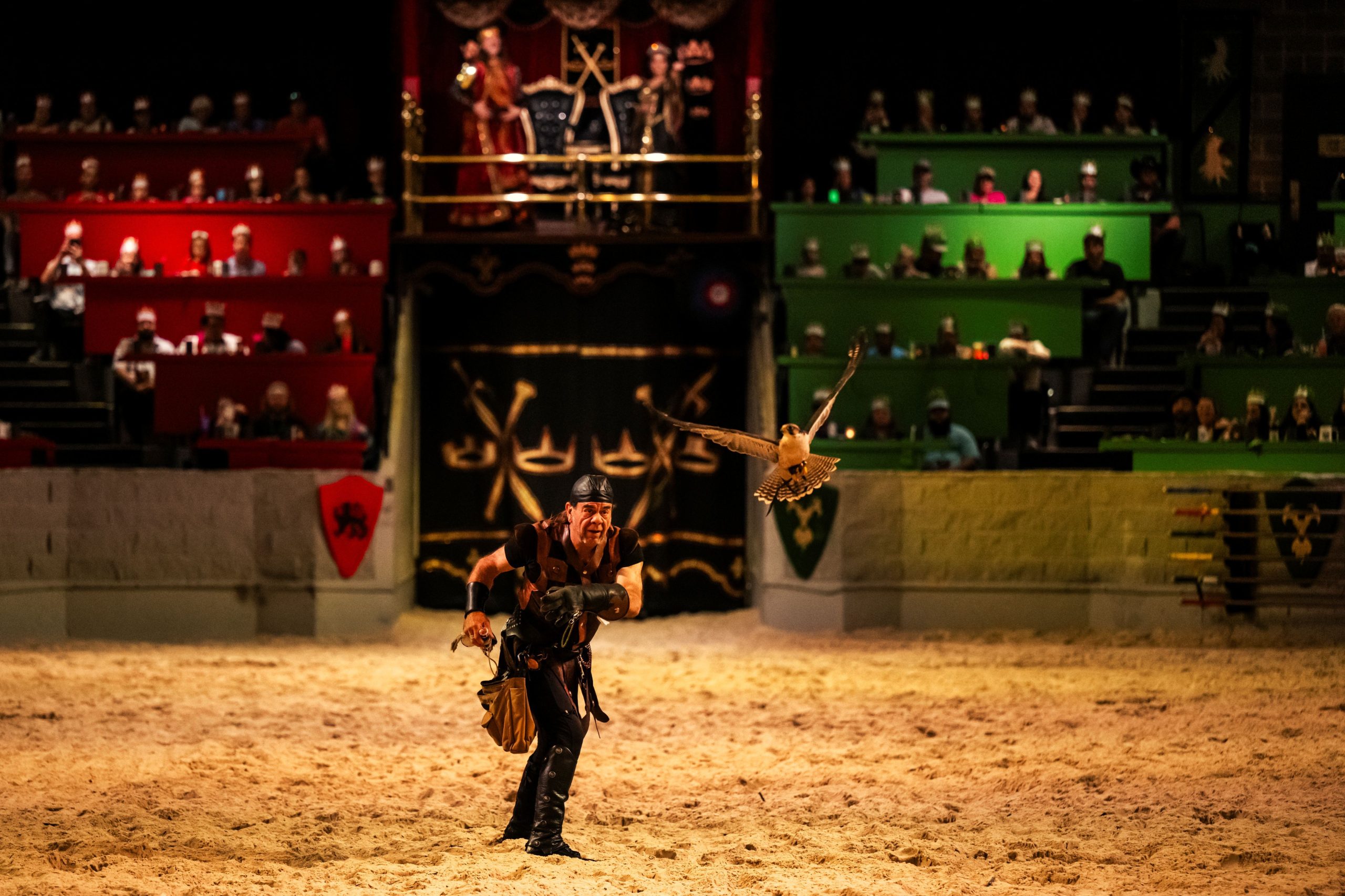 Medieval Times Falconer with Falcon